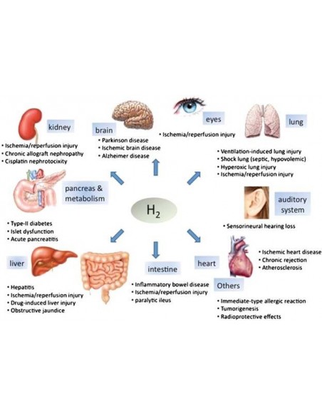 ÁGUA HIDROGENADA ANTIOXIDANTE  PORTUGAL | MAQUINAS DE OZONO | Plural Lojas