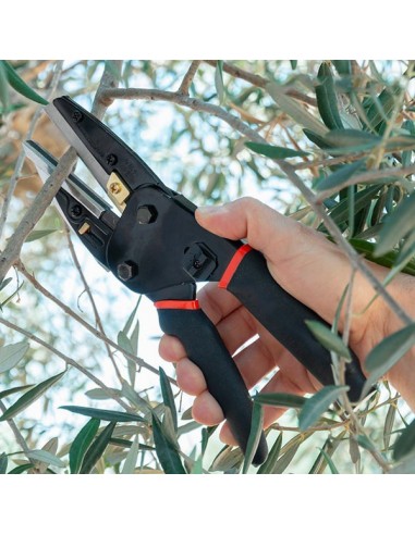 SUPER CUT TESOURA DE CORTE  | Virtualvantagem | SUPER CUT