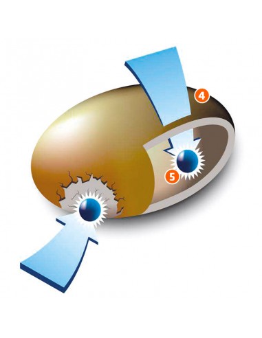 COLCHÃO  SELF SUNCLEAN | Virtualvantagem |