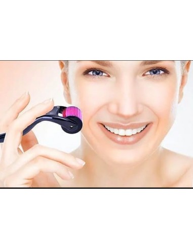 DERMAROLLER  540 AGULHAS TITÂNIO | Virtualvantagem | VRT.002.00026