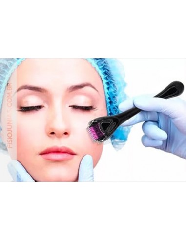 DERMAROLLER  540 AGULHAS TITÂNIO | Virtualvantagem | VRT.002.00026