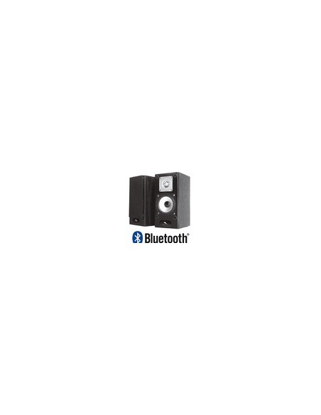 SISTEMA DE SOM ALTAVOZ ACTIVADO POR BLUETOOH | Virtualvantagem |
